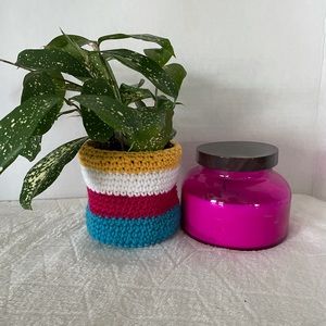 🪴Crochet Plant Cozy 🪴